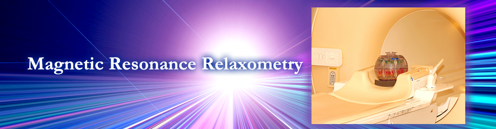 Magnetic Resonance Relaxometry